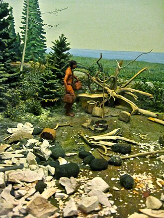 Ботай мәдениеті