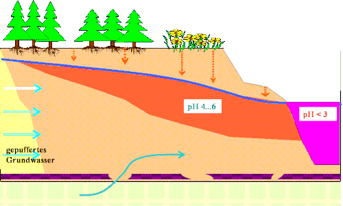 Жер асты суы